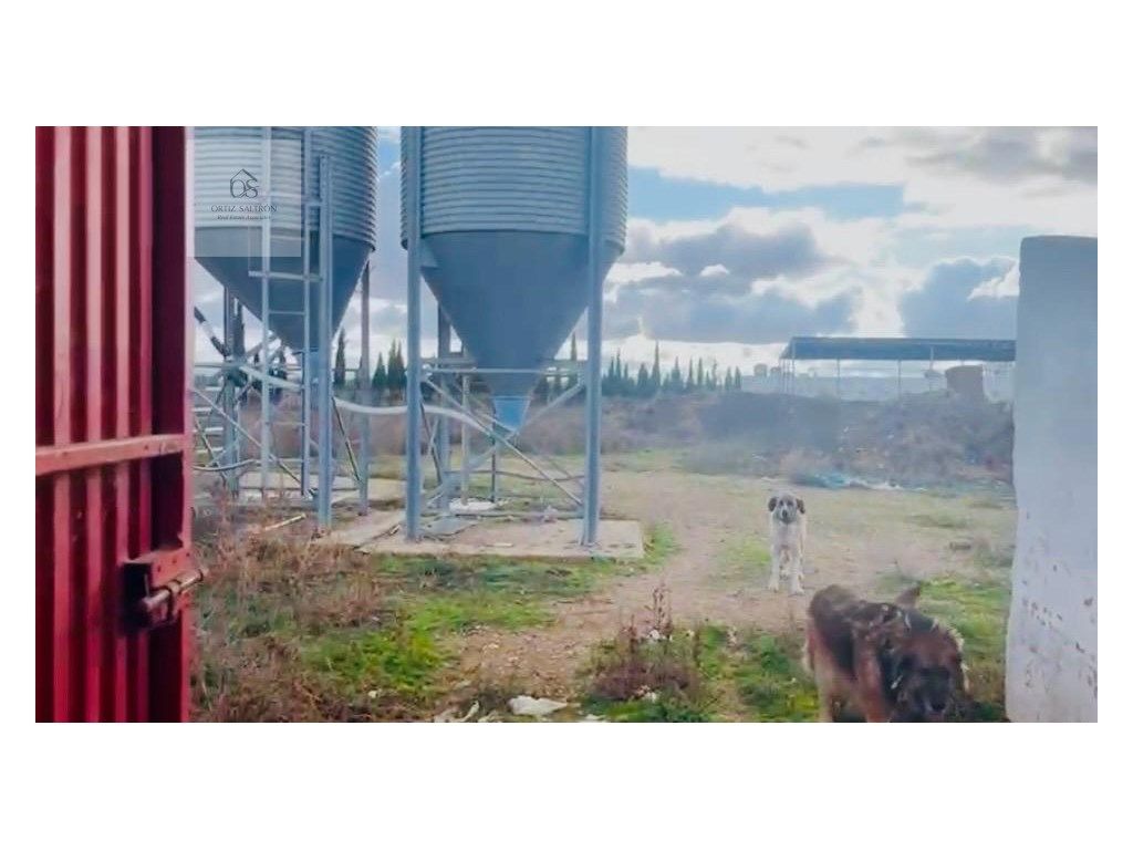 Vista exterior de Casa o chalet en venta en Quintanar de la Orden