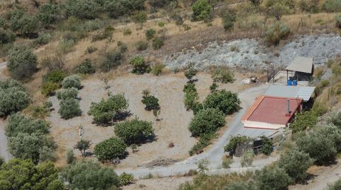 Foto 2 de Finca rústica en venta en Los Tablones, 9, Los Tablones - La Garnatilla, Motril