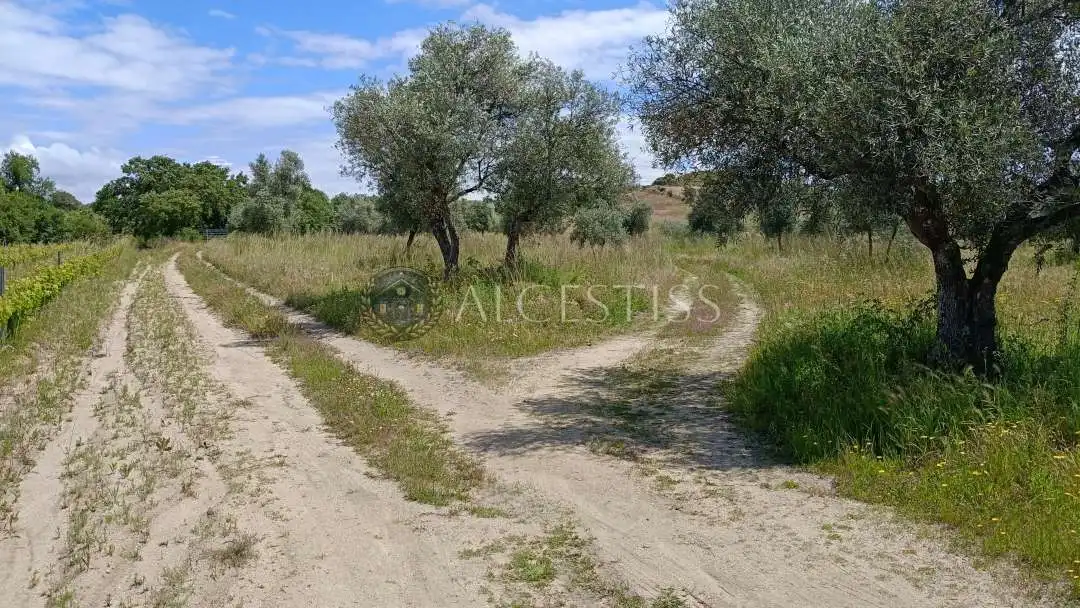 Land for sale in Méntrida