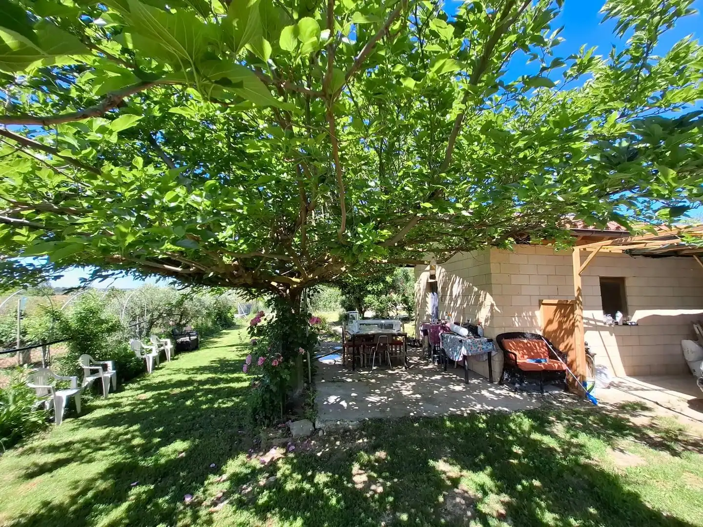 Terraza de Finca rústica en venta en Olite / Erriberri