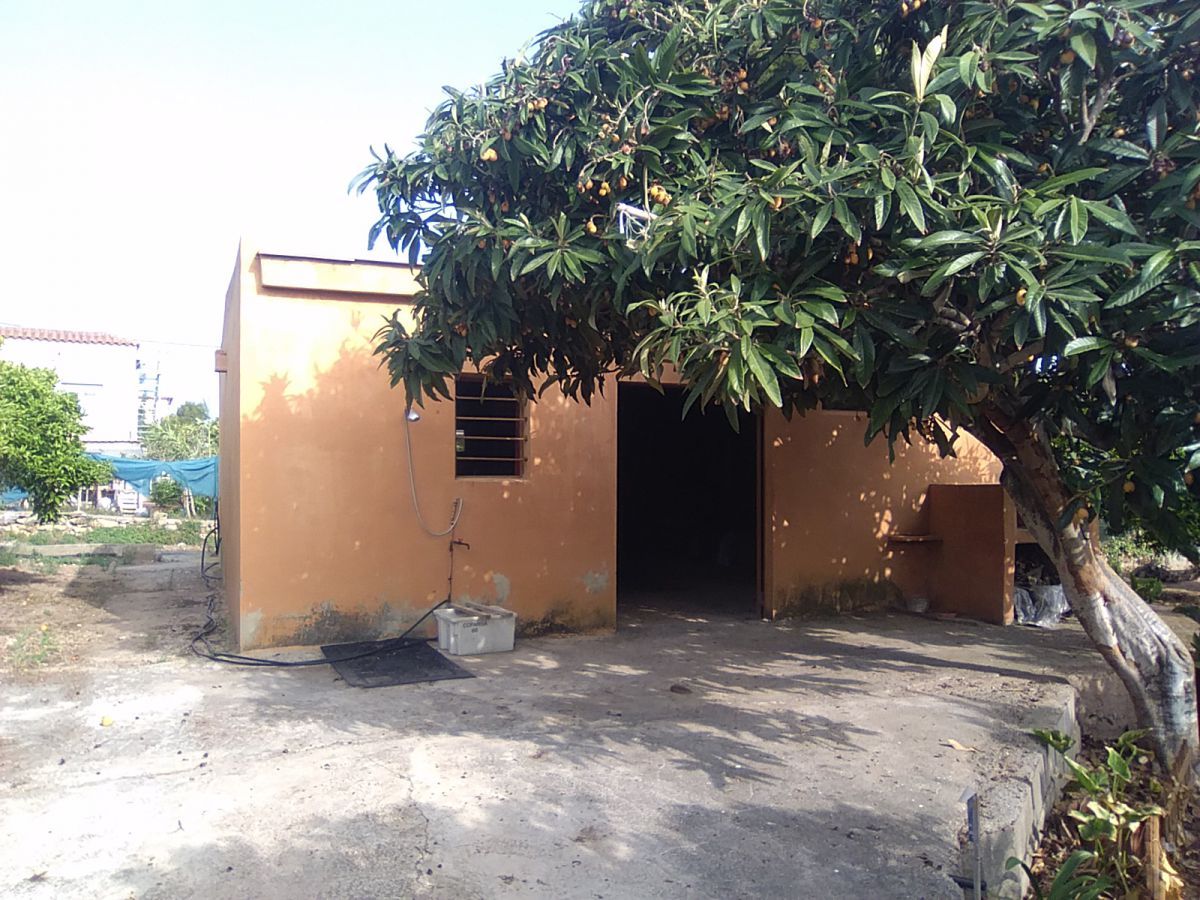 Vista exterior de Finca rústica en venda en Sagunto / Sagunt
