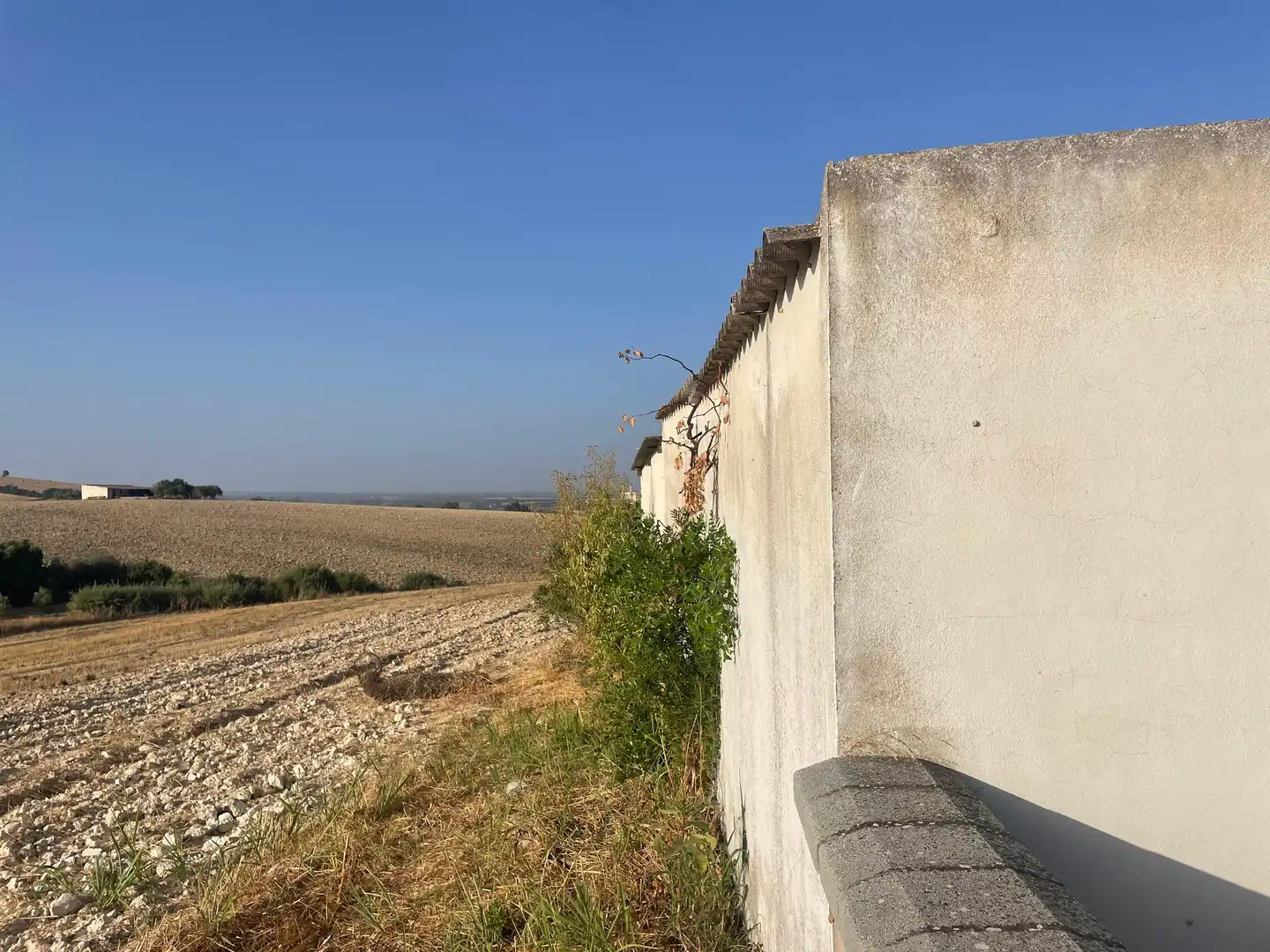 Casa rústica en venda a Arcos de la Frontera, imagen 9