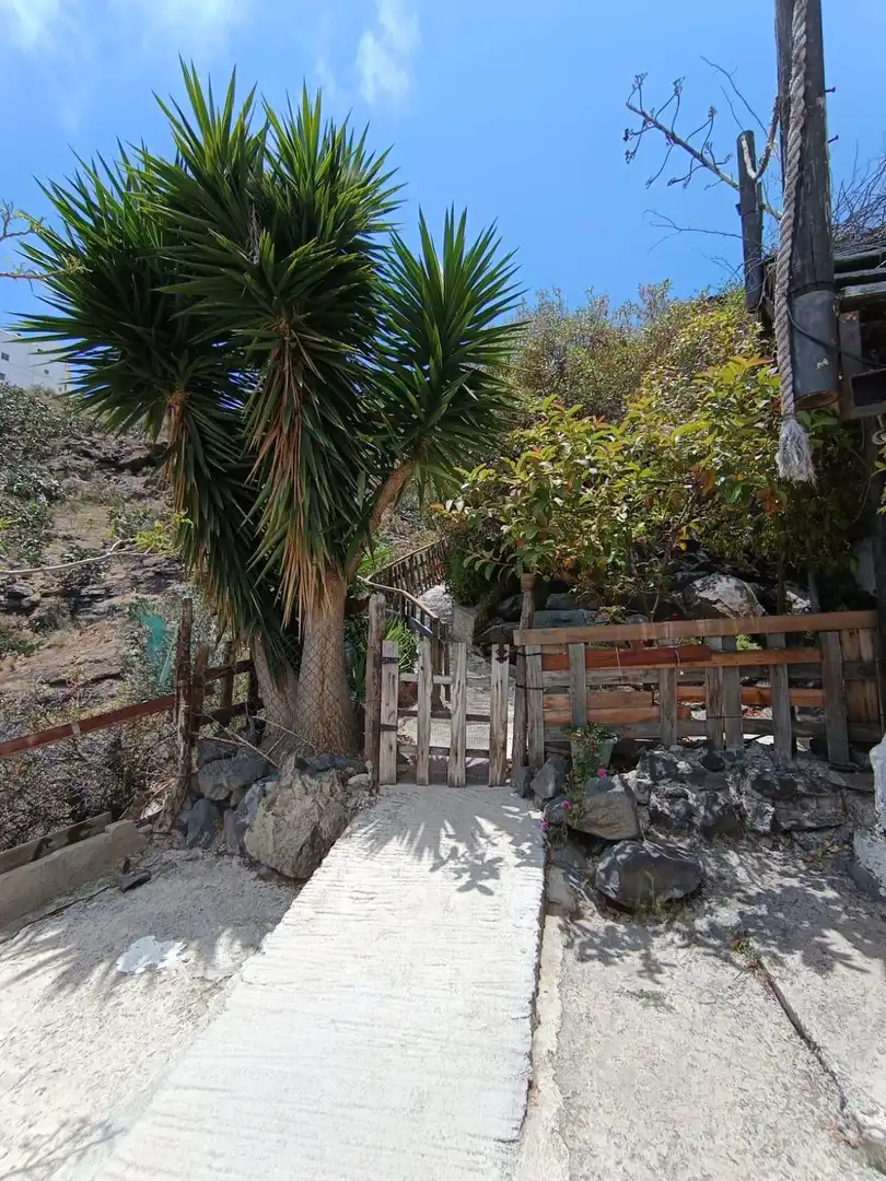 Jardín de Finca rústica en venta en Valsequillo de Gran Canaria con Terraza