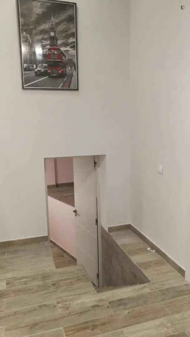 Apartments for rent in Orcasitas
