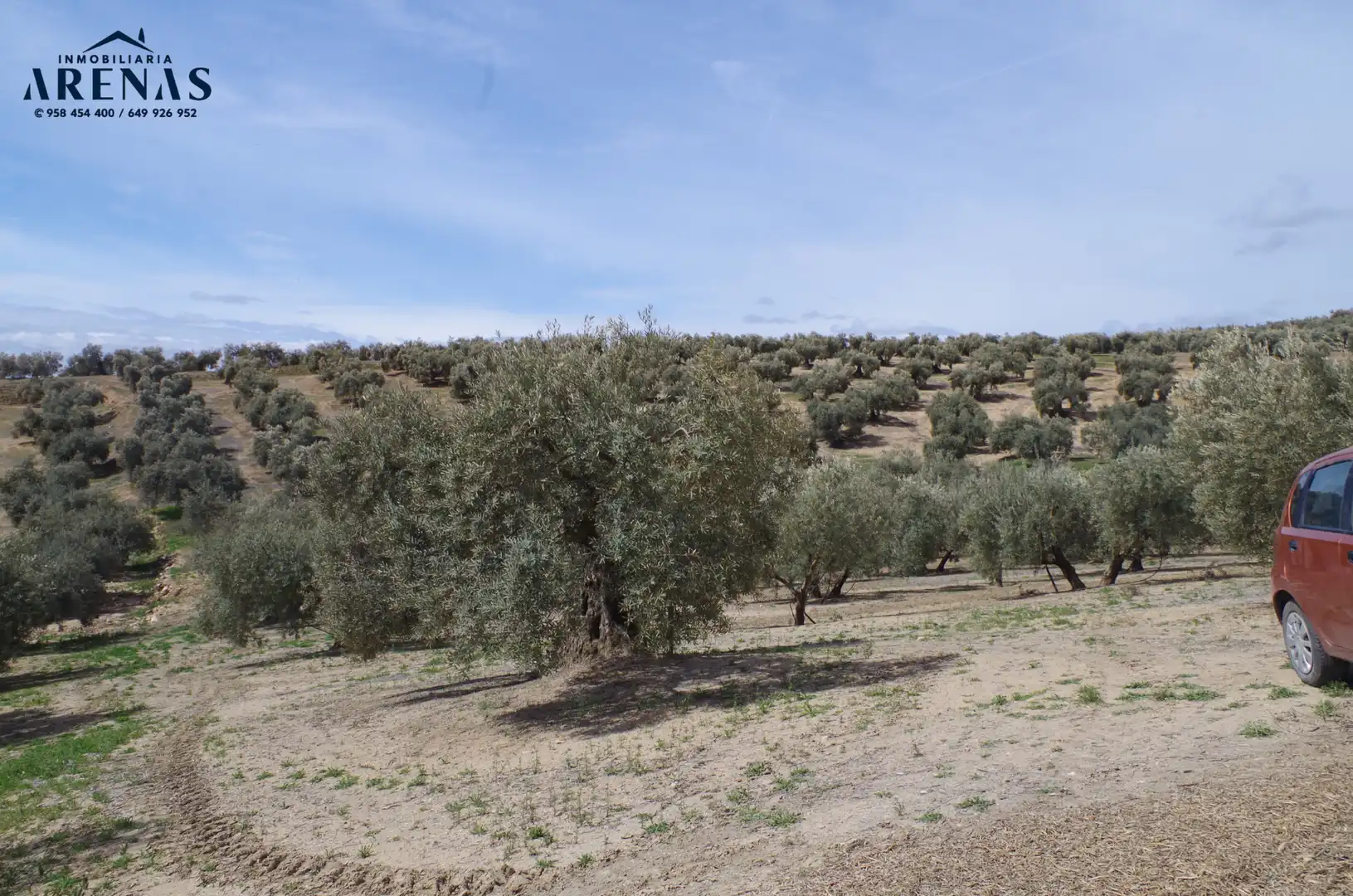 Residential land for sale in Íllora, imagen 5