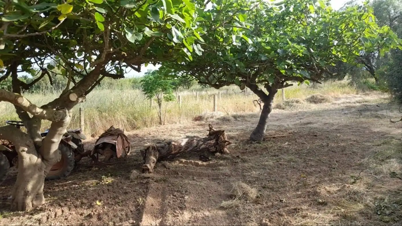 Terreni e lotti in affitto a Avenida de San Javier 29D, imagen 7