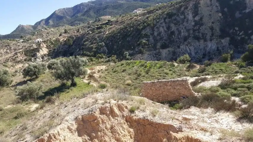 Finca rústica en venta en Ricote