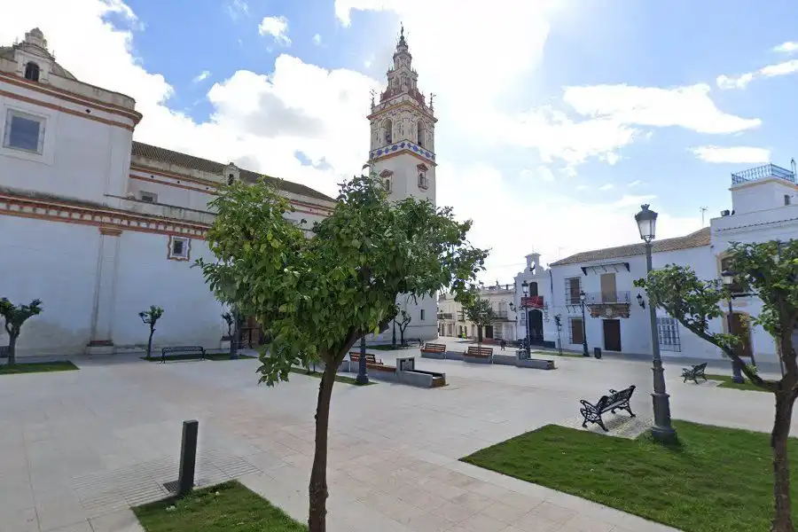 Terreni e lotti in vendita a Moguer, imagen 6