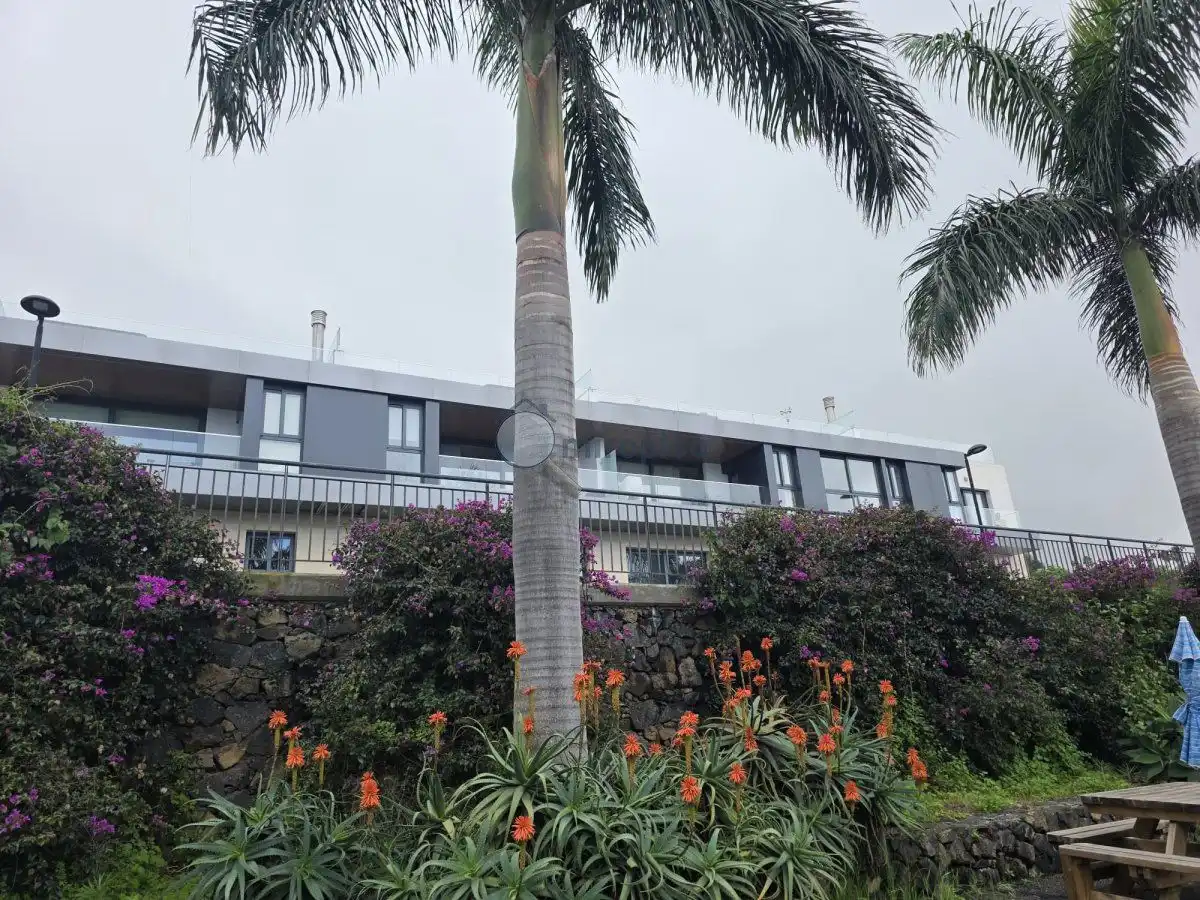 Fotografía 3