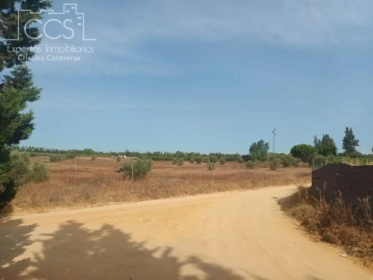 Casa rústica amb jardí en venda a Almonte ciudad, imagen 8