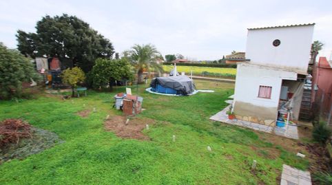 Foto 4 de Finca rústica en venda a Polígono 11, Parcela 224 - el Encinar, Montijo, Badajoz