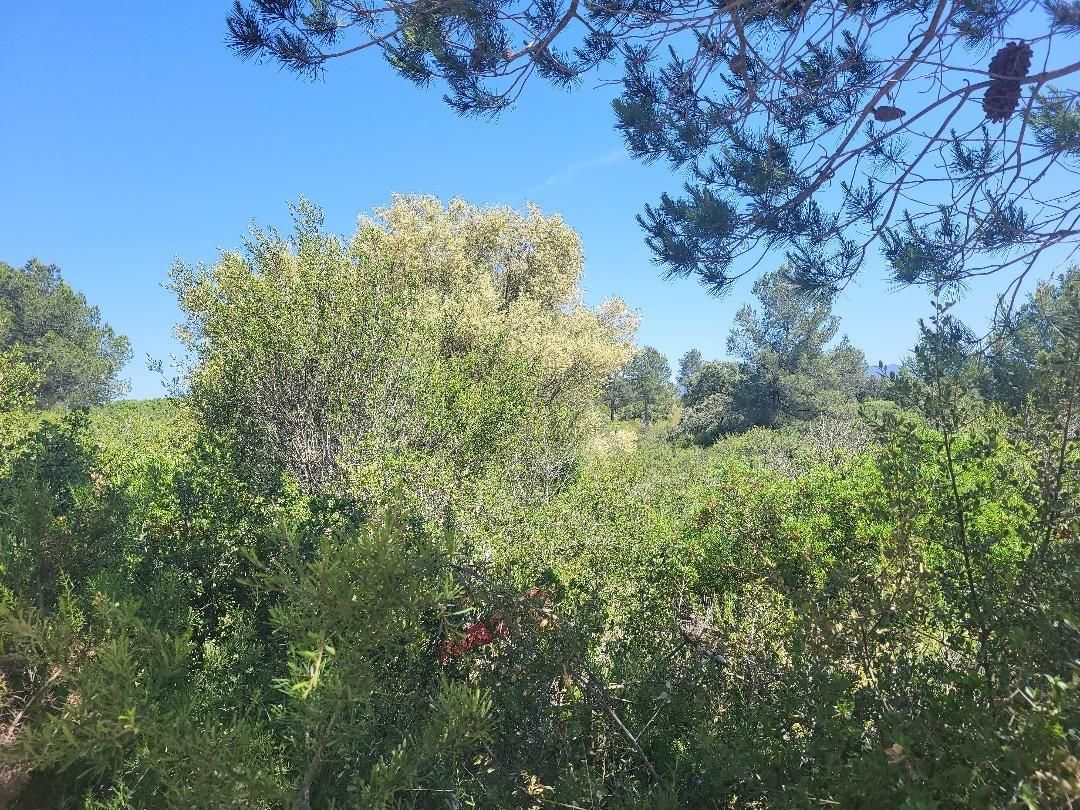 Grundstücke zum verkauf in Vall d'Alba