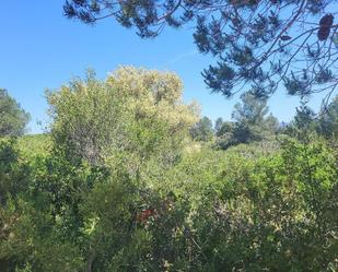 Land for sale in Vall d'Alba