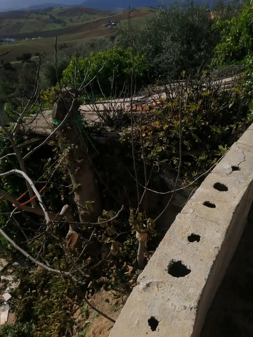 Casa o xalet en venda en Cártama amb Jardí privat, Terrassa i Piscina