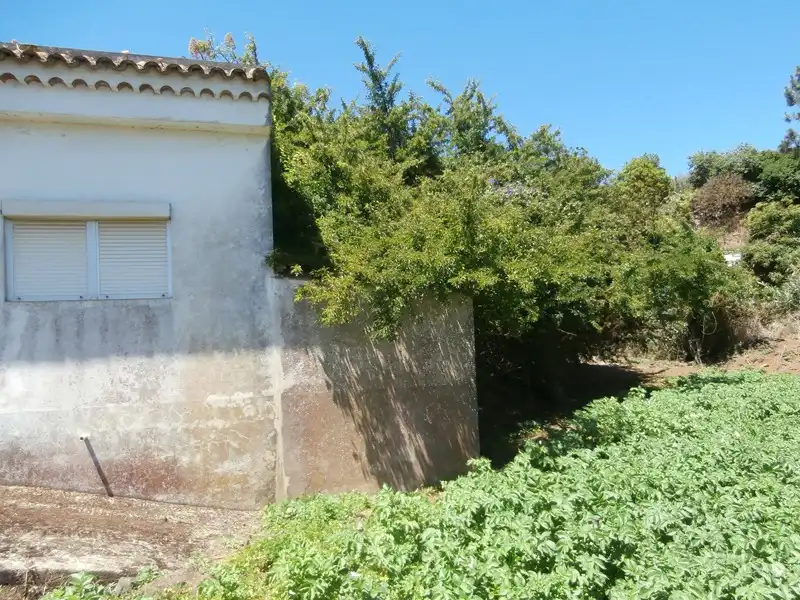 Finca rústica en venta en Moya (Las Palmas)