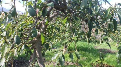 Foto 3 de Terreny en venda a Valsequillo de Gran Canaria, Las Palmas