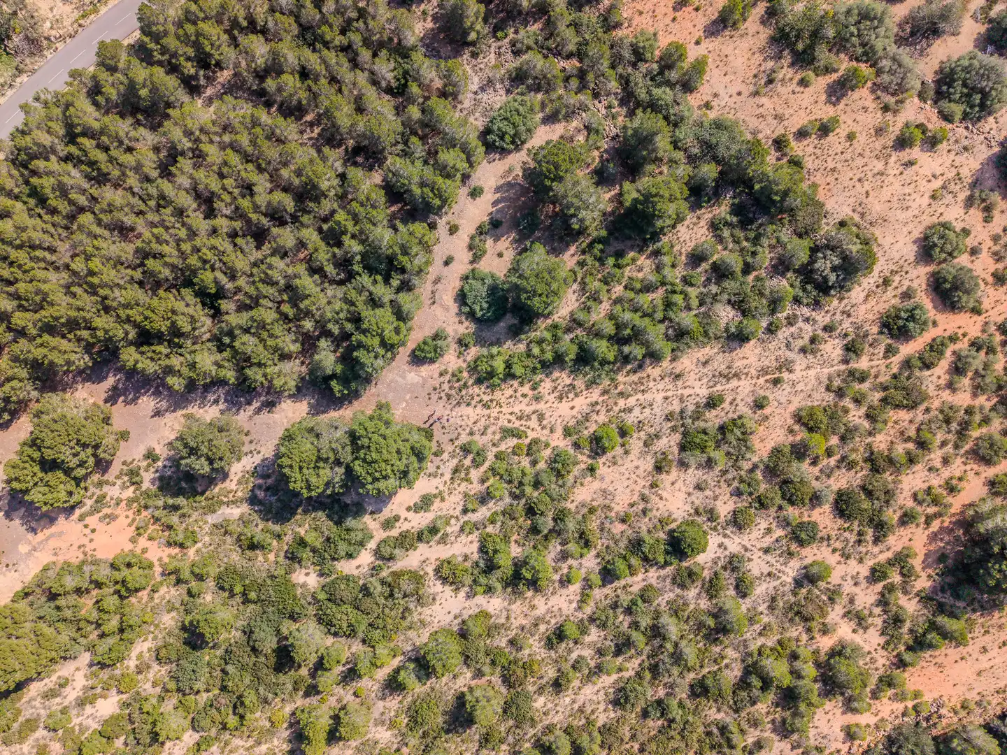 Land for sale in El Perelló