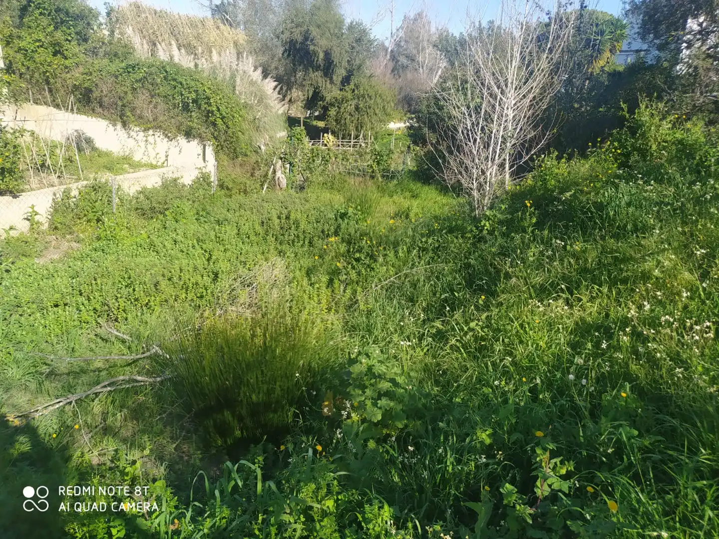 Houses for sale in Chiclana de la Frontera  with Private garden, Terrace and Storage room