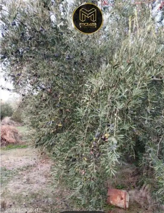 Terreni e lotti in vendita a Puente Jontoya - Puente de la Sierra - El Arroyo, imagen 2