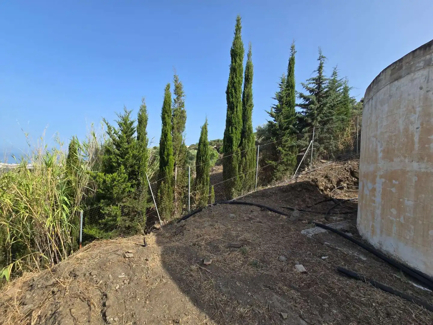 Finca rústica en venda en Torrox
