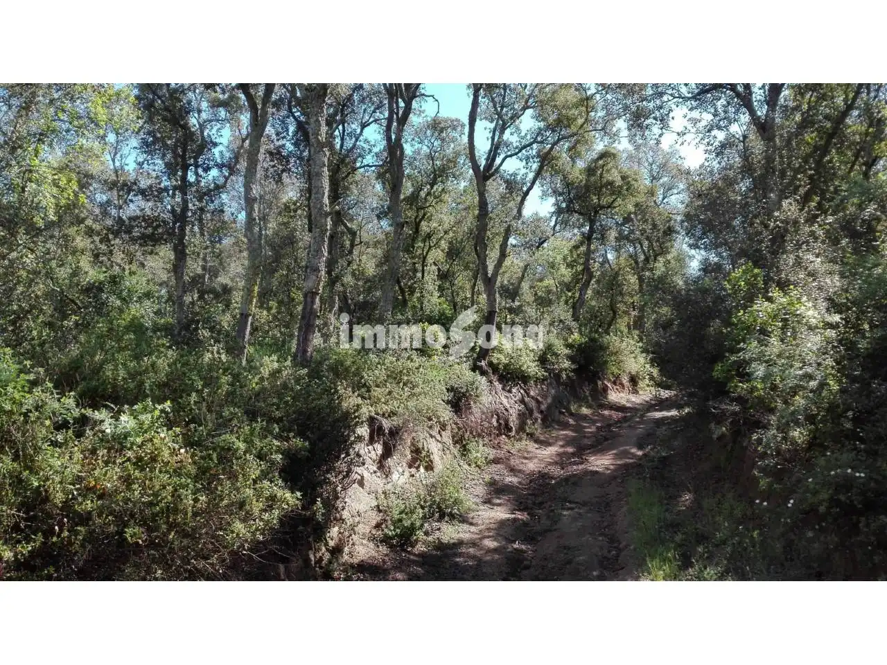 Terreny rústic en venda a Llinars del Vallès, imagen 5