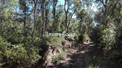 Finca rustica 330 hectareas, imatge 5