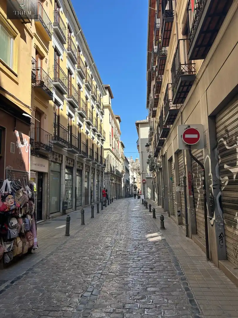 Vista exterior de Apartament de lloguer en Granada amb Traster, Moblat i Balcó