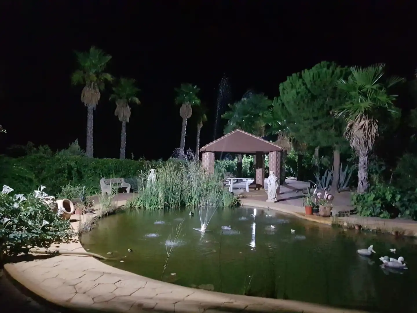 Piscina de Finca rústica en venta en Santa Cruz de Mudela