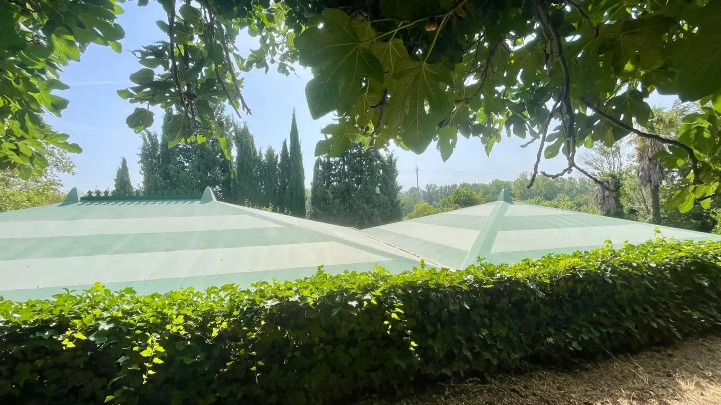 Haus mit Garten zum Verkauf in La Parra, imagen 13