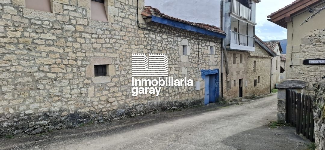Vista exterior de Casa o xalet en venda en Valle de Manzanedo amb Jardí privat