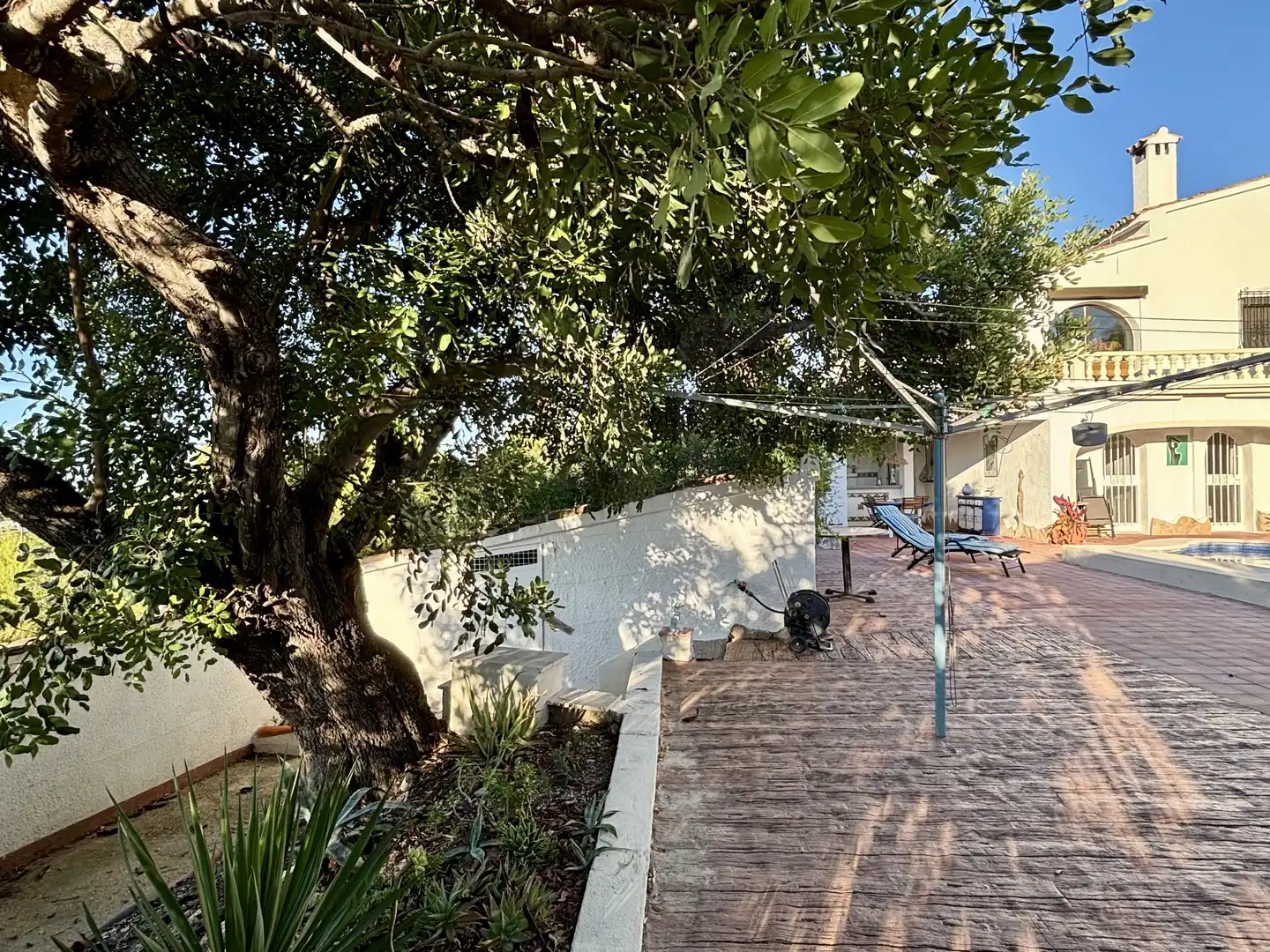 Terrassa de Casa o xalet en venda en Cap Martí - El Tossalet - Pinomar