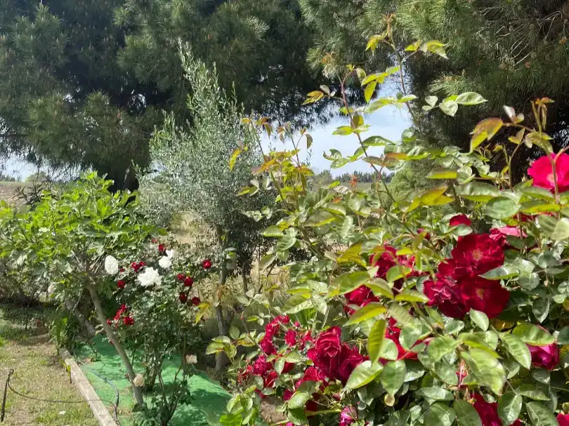 Jardín de Piso en venta en Isla Cristina con Aire acondicionado, Jardín privado y Trastero
