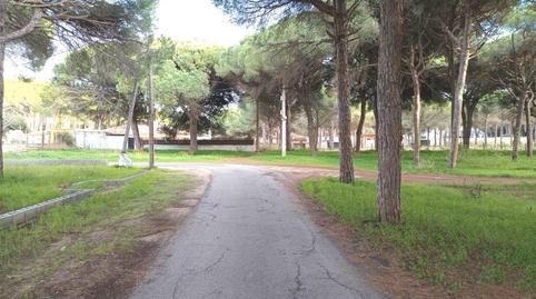 Foto 5 de Terreno en venta en Camino del Granado, 23, Las Lagunas - Campano, Cádiz
