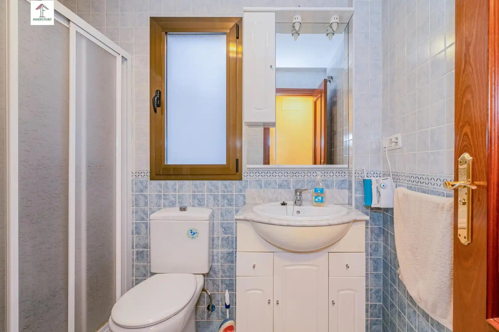 Ground floor with lift for sale in CASTILLO 5, imagen 13