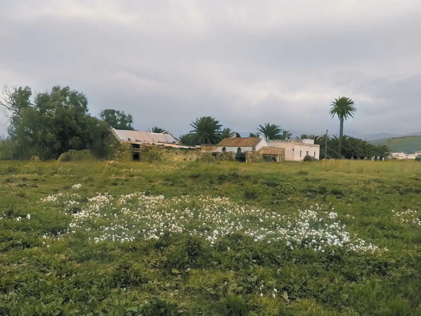 Maison rustique avec piscine à vendre à Tarifa ciudad, imagen 12