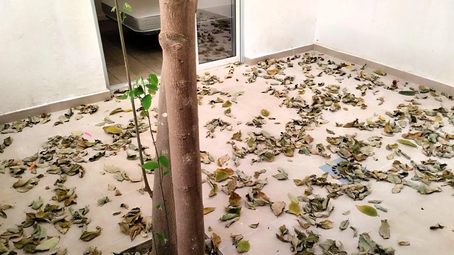 Jardí de Planta baixa en venda en Xirivella amb Aire condicionat, Terrassa i Moblat