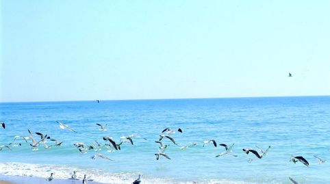 Apartamento en venta en Islantilla  Playa, 2 dormitorios., imatge 4