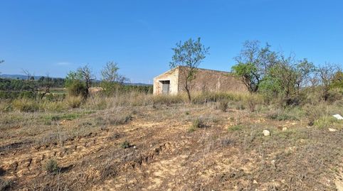 FINCA RÚSTICA DE 2,4 Ha. CON ALMENDROS, VIÑA Y CASA DE CAMPO.