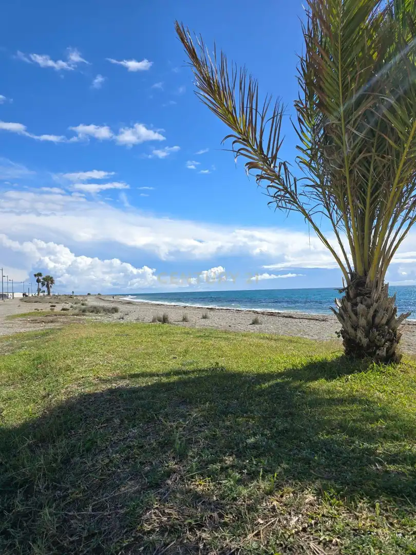 Exterior view of Detached homes for sale in Motril