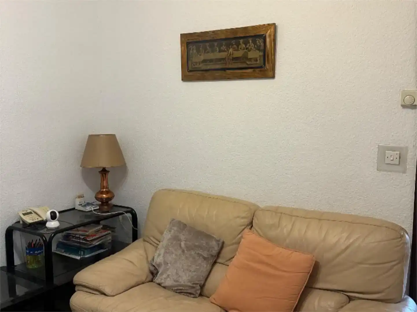 Sala d'estar de Pis en venda en Santa Coloma de Gramenet amb Aire condicionat