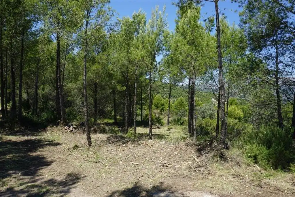 Land for sale in El Castell de Guadalest