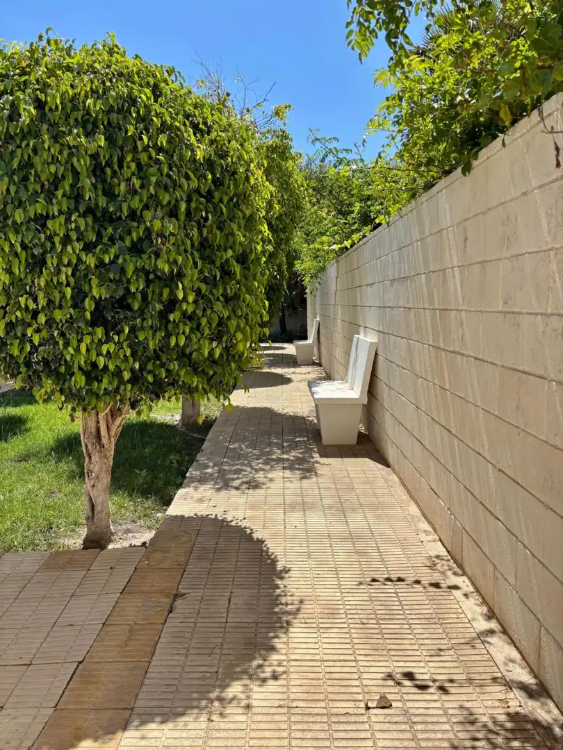Apartments for rent in PAU 5