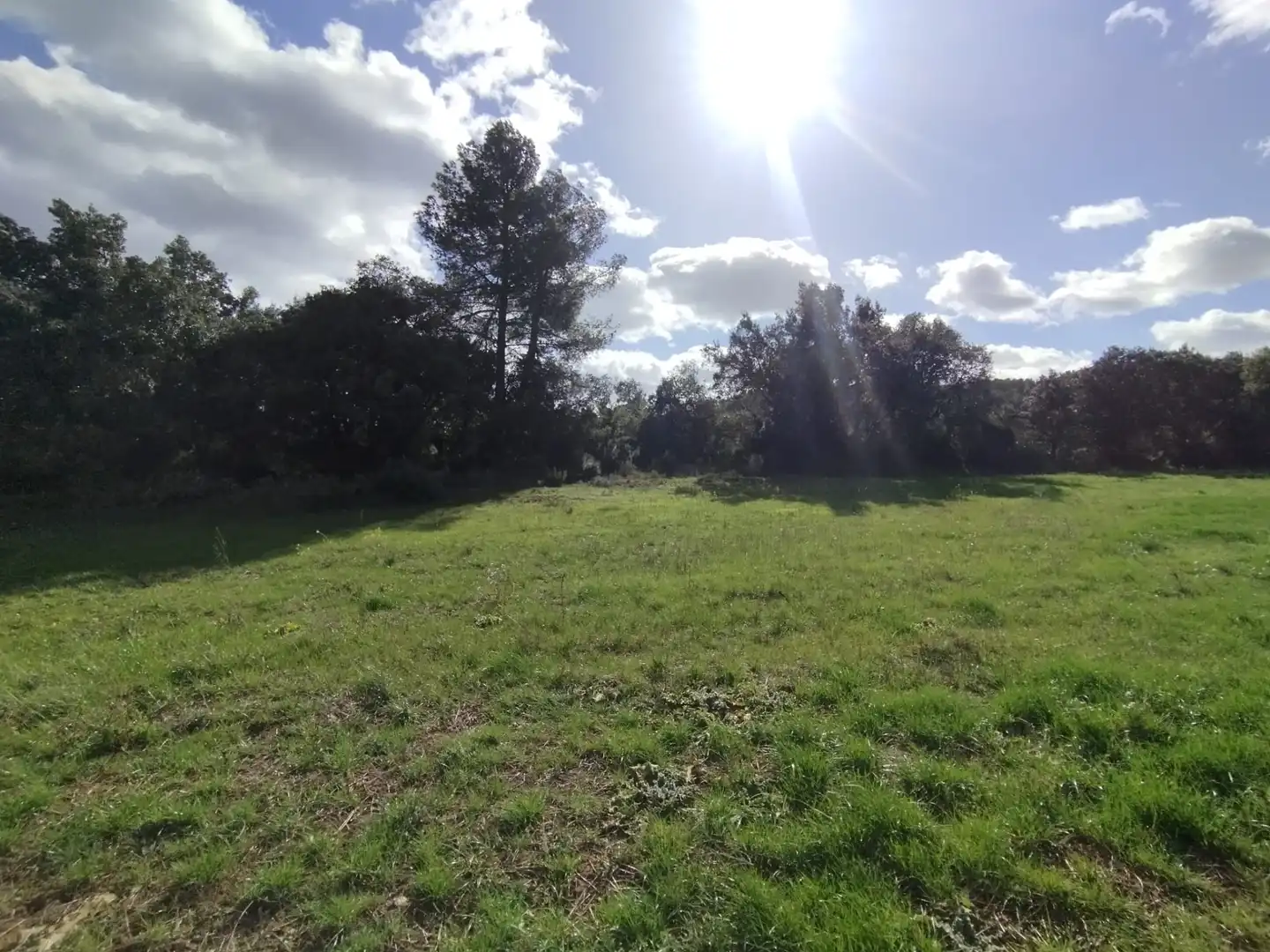 Terreni e lotti in vendita a Lledó, imagen 6