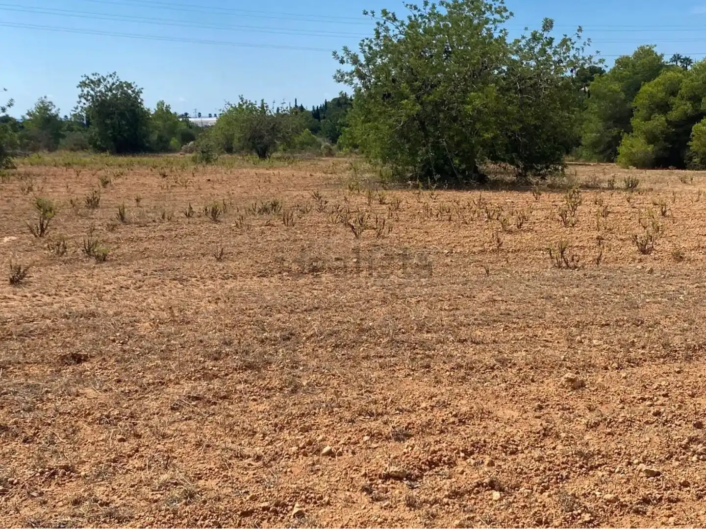 Rural land for sale in Extrarradio Diseminado 1, imagen 8