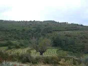 Terreny residencial en venda a Zona Pueblo, imagen 2