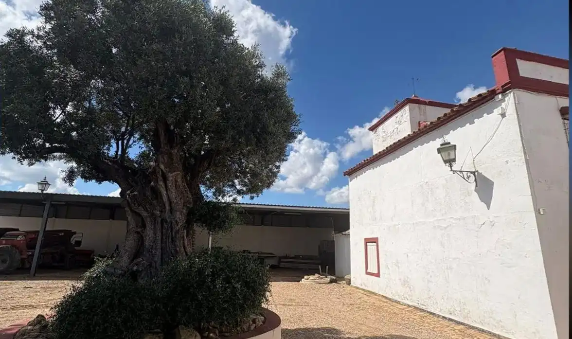 Casa amb jardí en venda a Camino DE NEVA, imagen 16