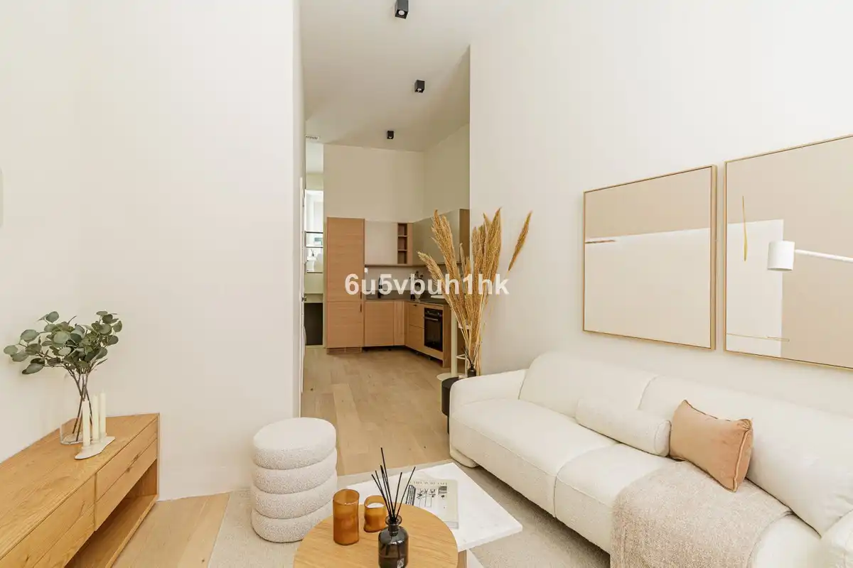 Sala d'estar de Dúplex en venda en Málaga amb Aire condicionat, Terrassa i Moblat