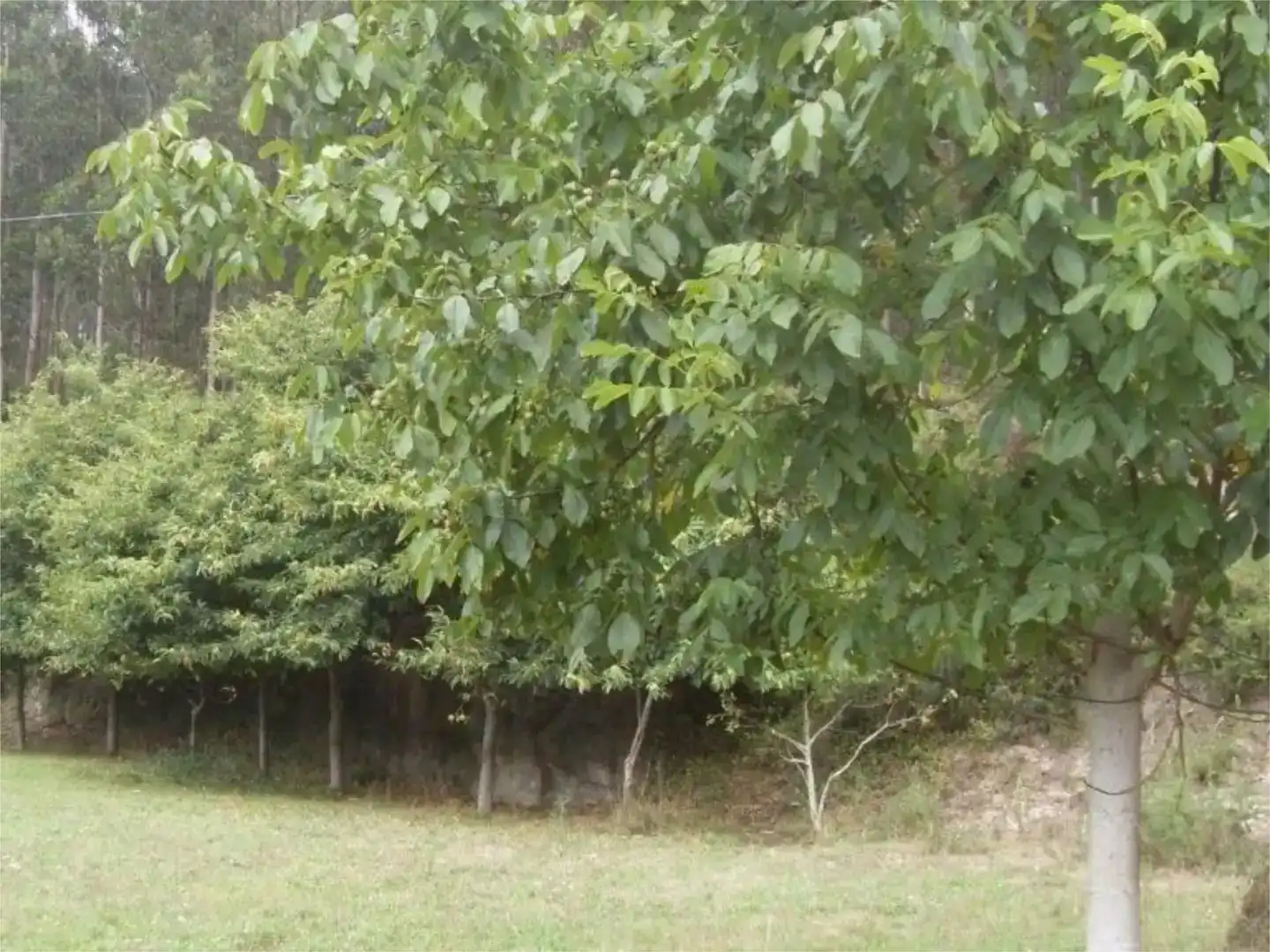 Pis en venda en O Valadouro   amb Jardí privat i Balcó