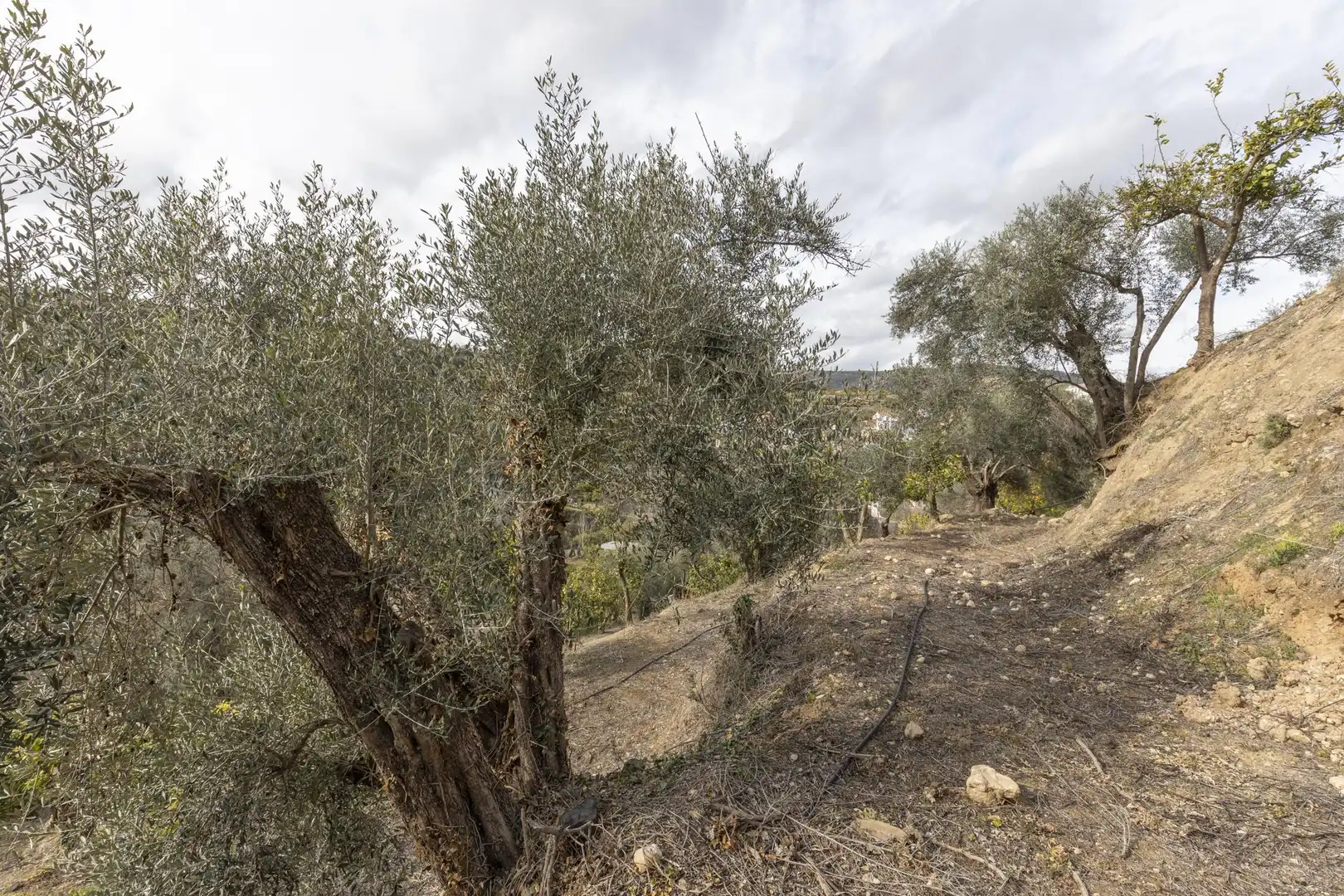 Finca rústica en venta en El Valle, Serón