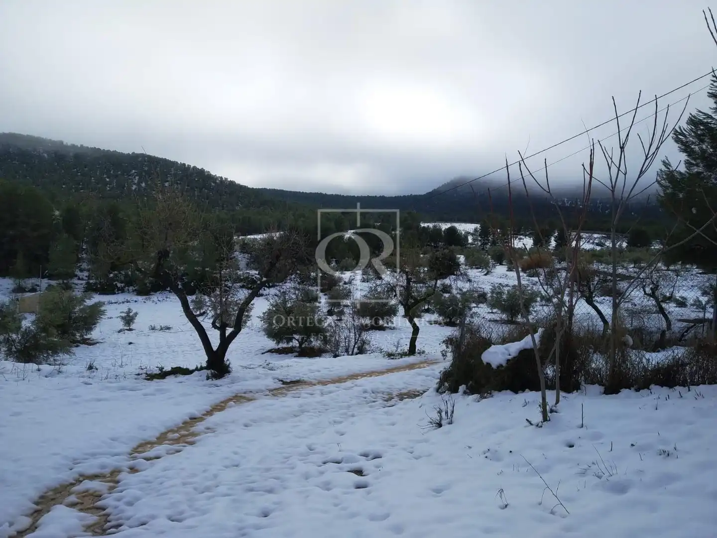 Rural land for sale in N/A, imagen 26